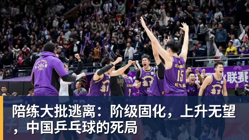 FB体育陪练大批逃离：阶级固化，上升无望，中国乒乓球的死局