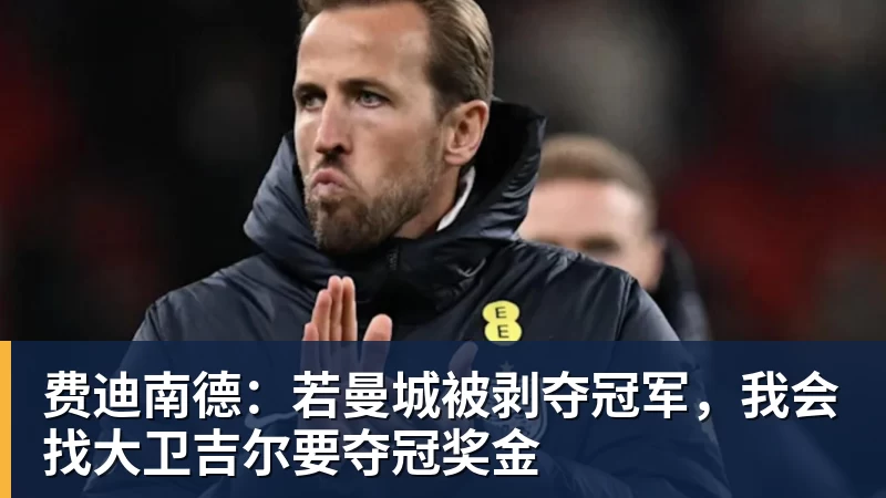 FB体育费迪南德:若曼城被剥夺冠军,我会找大卫吉尔要夺冠奖金