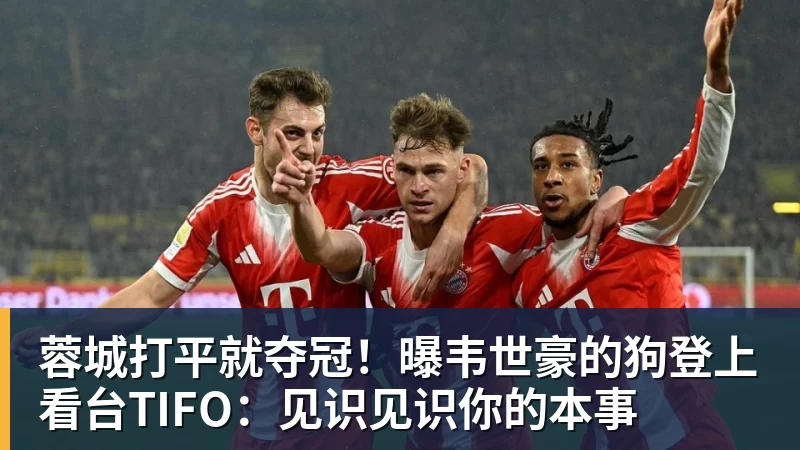 FB体育蓉城打平就夺冠！曝韦世豪的狗登上看台TIFO：见识见识你的本事
